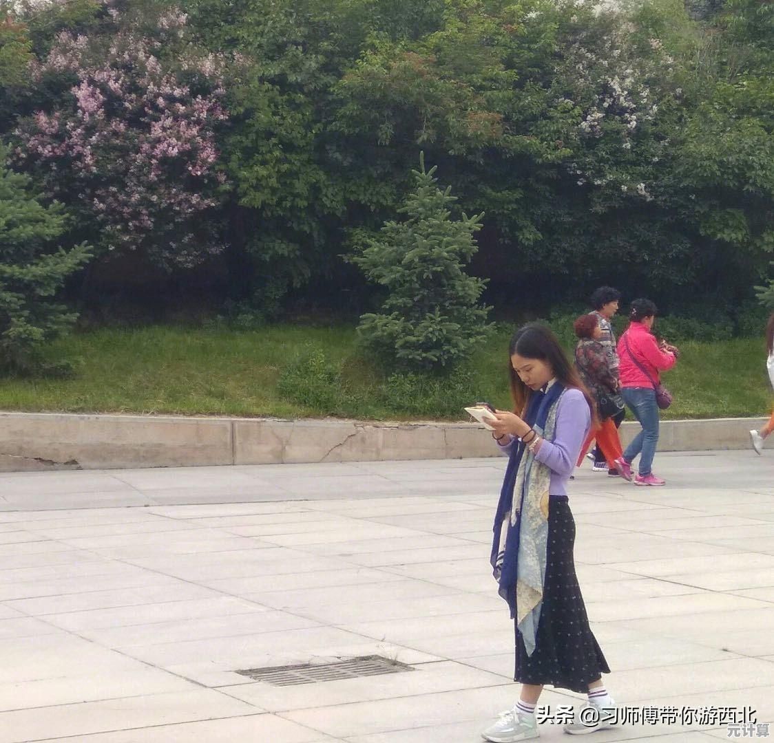 探索寻梦丝路：2025全新职业强度分析与高效升级攻略大全