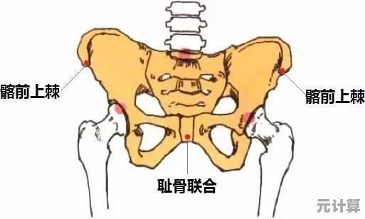 丝之歌柔韧棘芯支线2025年终极解析，轻松获取稀有装备与成就！