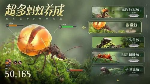 打造独一无二的蚂蚁帝国？超能蚁团》的任务和孵化玩法让你乐趣无穷！