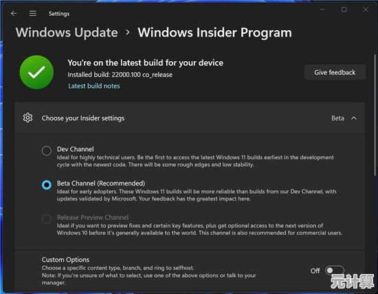 为何专家建议Windows 11用户定期安装最新更新？解析关键优势