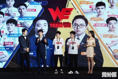 sv代表什么？详细探讨其在不同领域中的意义与功能