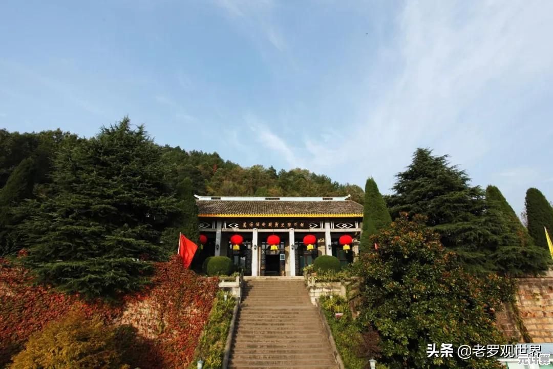 2025新版梦幻西游手游假日保卫战第八关高效打法教学