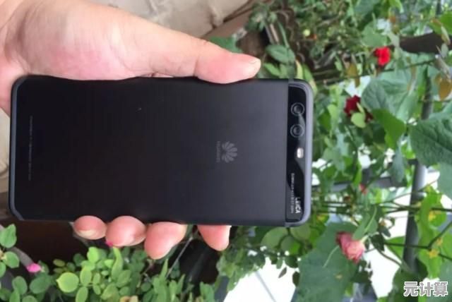 徕卡相机性能天梯图全解析：探索影像旗舰的卓越表现力
