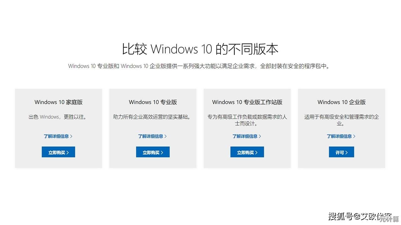 全面解析Windows系统版本：哪款最适合你的需求