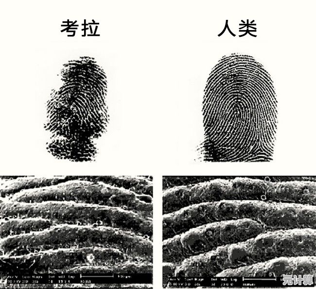 还在为找不到相同指纹发愁？指掌》让你越玩越上瘾！