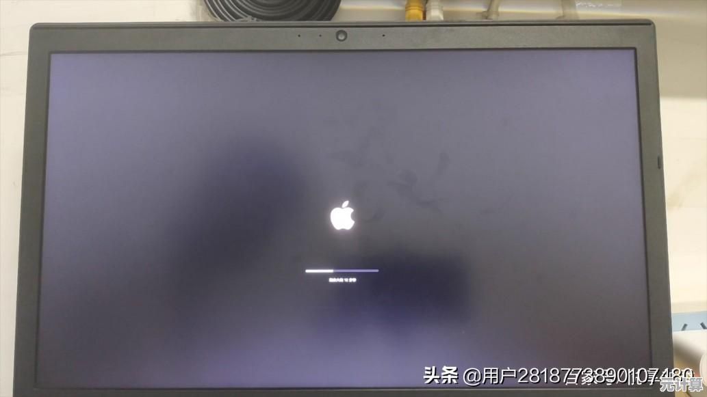 苹果Mac装Windows双系统：D盘分区方案与存储空间优化指南