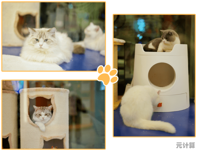 还在找可玩性高的休闲游戏？萌猫公园正版》单人or联机随你选！