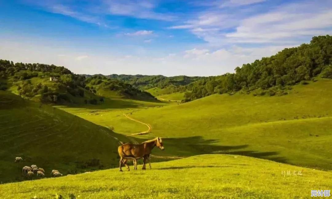 幻想生活i无垠大陆2025年点位标注秘籍，带你解锁全地图隐藏宝藏