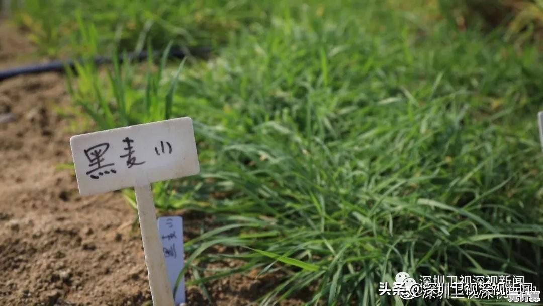 职业FPS玩家都在用的《瞄准实验室中文版》你还没试试吗？