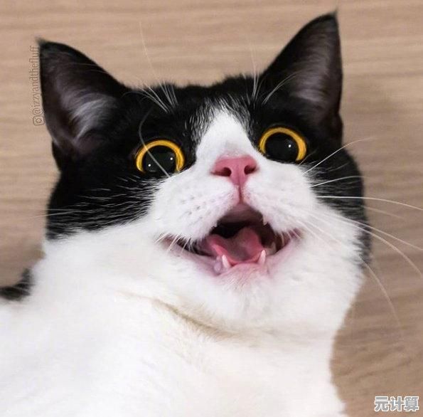 全新解谜玩法《猫围绕我们：黑猫》2025年挑战找出隐藏猫咪的乐趣！