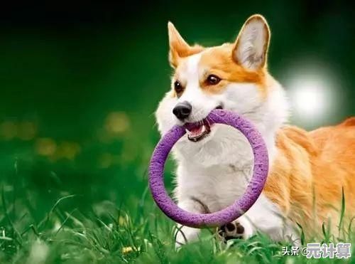 还没试过自带繁体中文的农场模拟游戏？快来《角落萌宠农场》开启悠闲时光！
