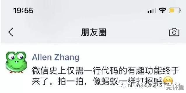 微信拍拍功能新玩法：为自己添加专属文字的完整指南