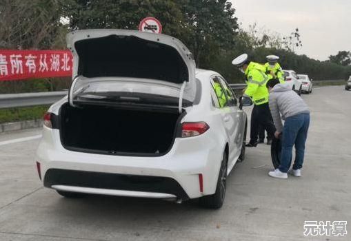 想体验正义与智慧的较量？警车模拟3D让你化身警官追捕狡猾罪犯！