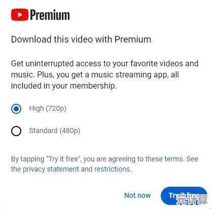 免费下载YouTube视频，高效一键获取，尽在此处便捷体验！