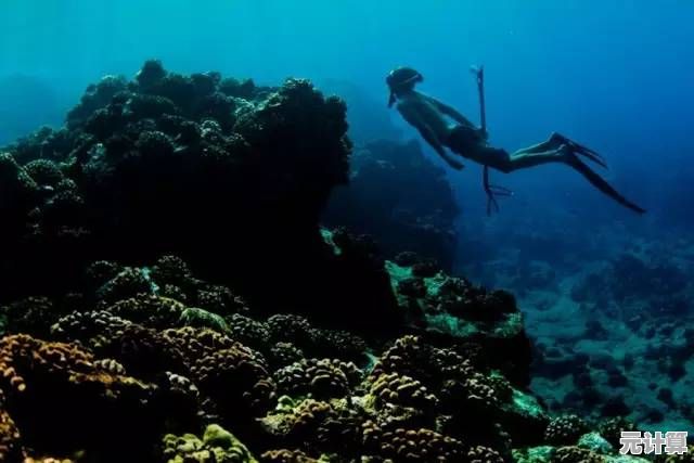 2025光遇深海探险指南：水下行走技巧与季节任务解析