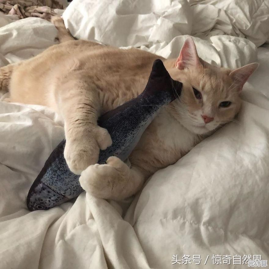 还在寻找画风可爱的经营游戏？快来试试《猫咪和汤最新版本》吧！