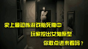 想知道《无期迷途b服》中局长如何破解诡异案件吗？