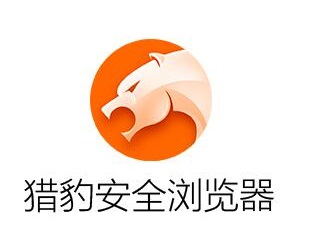 快速获取猎豹浏览器并高效解决使用难题的实用技巧汇总