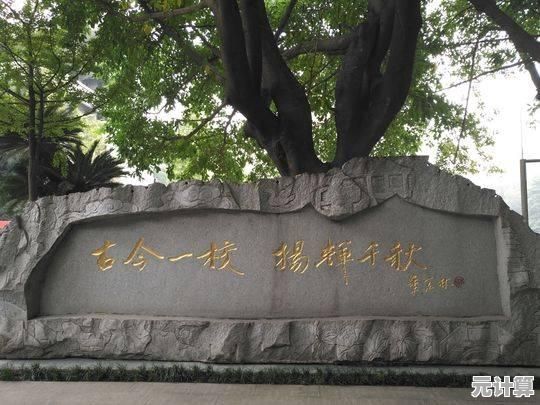 灵魂岛三级塔速成法：2025无限快速升级秘籍与策略