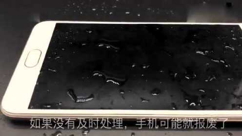手机进水急救指南：这些步骤可能挽救你的设备！