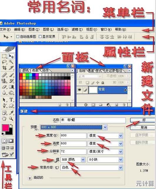 零基础入门Photoshop：快速掌握实用操作与基础技能