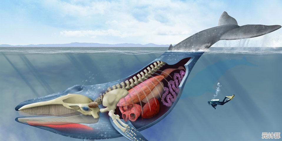 未来海洋探索：2025年现世最大齿鲸物种行为研究全纪录