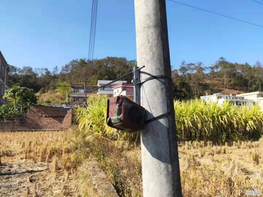 强大录音机免费下载，助您捕捉清晰声音与创意瞬间