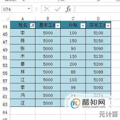 全方位解析Excel筛选功能，快速定位所需数据的实用指南