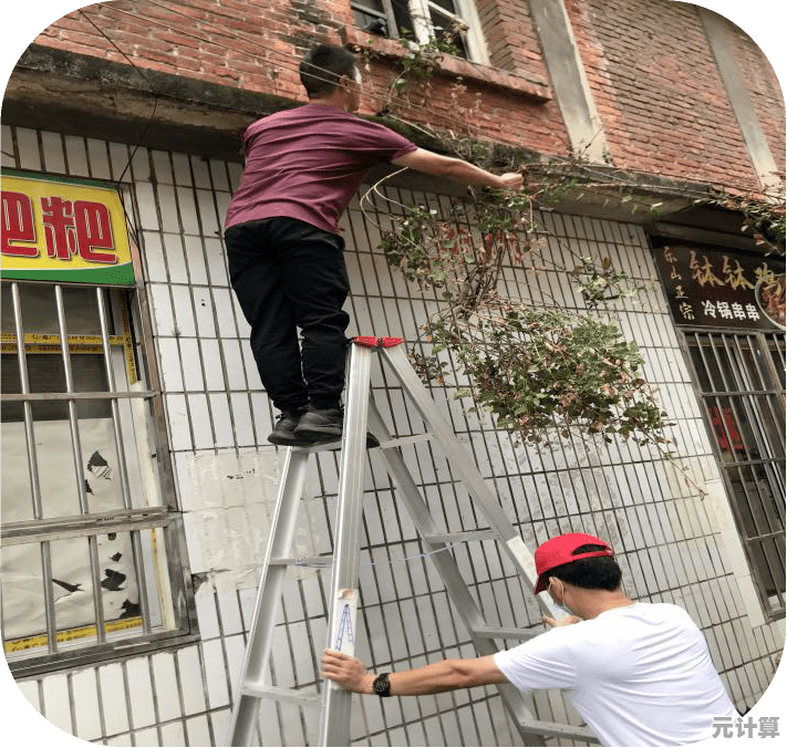 SV具体指什么？深入探讨其定义与实际使用场景