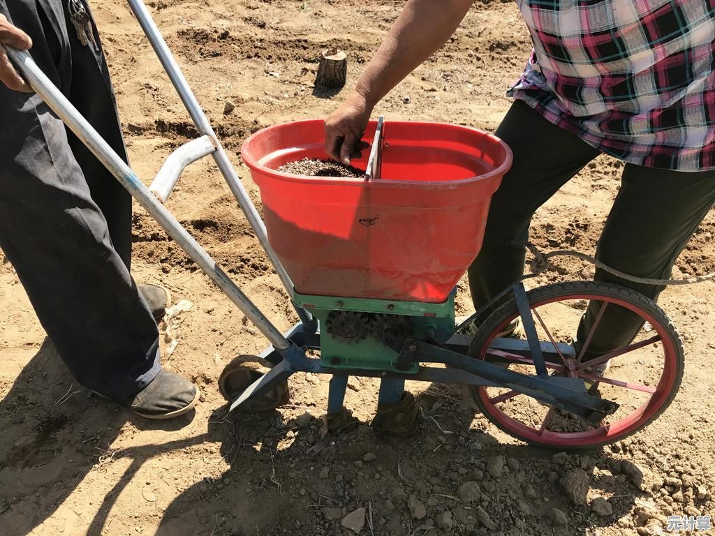 电脑软件精选集：提升工作效率与丰富娱乐生活的必备工具！
