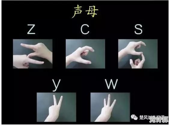 快速掌握拼音声调输入：详细步骤与常见错误避免，助你准确标注发音