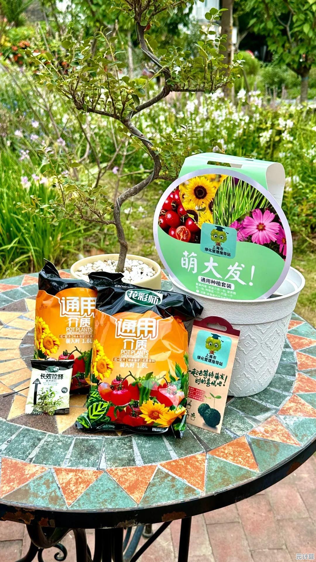 植物大战僵尸盲盒版，谁能拒绝盲盒机制带来的加倍乐趣？