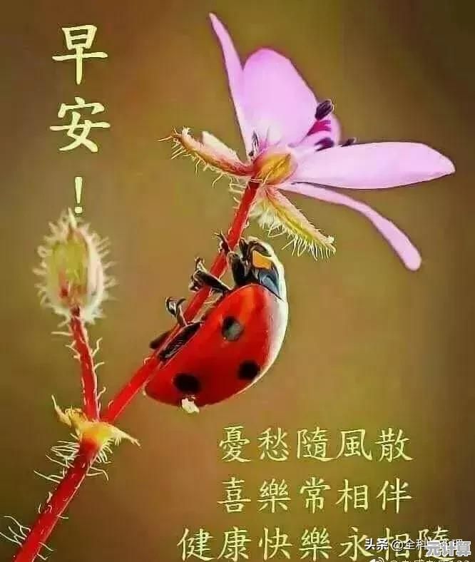 铃声多多精选手机铃声，为你的设备增添独特个性魅力！