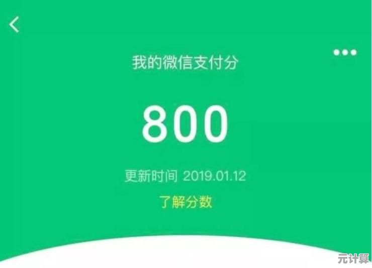 微信支付分查询方法全解析，轻松掌握个人信用评分