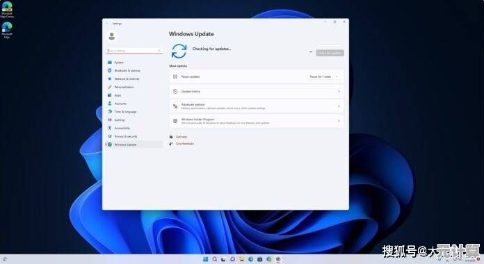 高效解决Win11应用卡顿与崩溃：强制退出操作方法详解