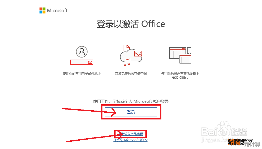 小鱼教您使用激活码激活Office365，详细电脑操作步骤解析