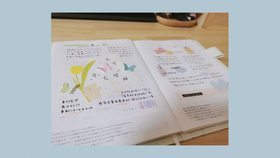 2025年絮絮手帐本AI功能升级后的设备配置建议与优化