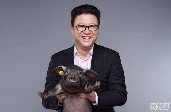 网易邮箱手机版：随身携带的邮件管家，高效管理每一封邮件