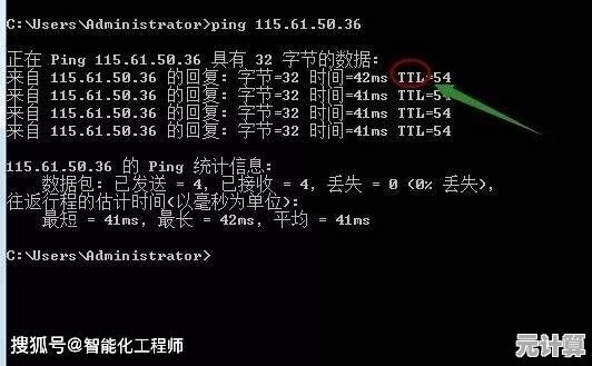 网络诊断不求人：全面解析ping测试的操作步骤与技巧