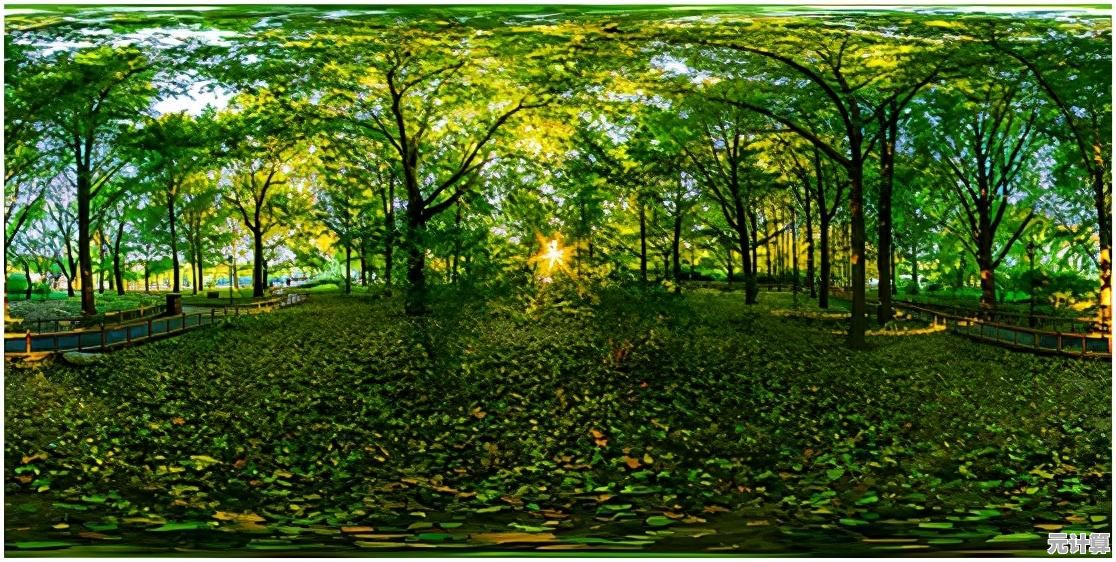 全面解析SWF文件打开方法：从软件选择到操作技巧