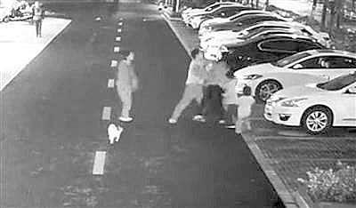 寻找线索、逃离恐怖，小狗追逐逃生》你敢挑战吗？