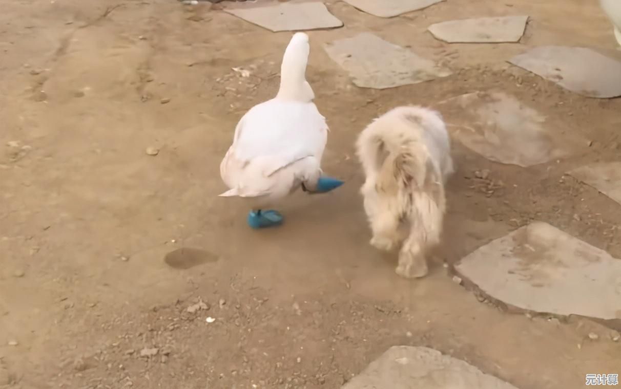 寻找线索、逃离恐怖，小狗追逐逃生》你敢挑战吗？