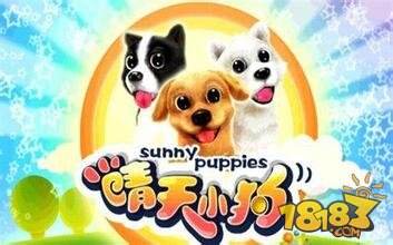 想领养萌宠陪伴生活?快来体验《晴天小狗百度版》吧! 想领养萌宠陪伴生活?快来体验《晴天小狗百度版》吧!