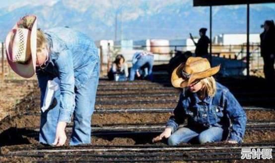 如何轻松管理农场和家畜?疯狂农场》等你来挑战! 如何轻松管理农场和家畜?疯狂农场》等你来挑战!