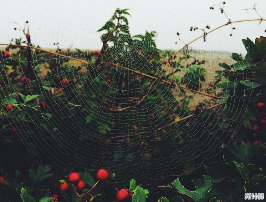 想要体验田园生活的悠闲与美好?桃源深处有人家》等你来打造理想家园! 想要体验田园生活的悠闲与美好?桃源深处有人家》等你来打造理想家园!