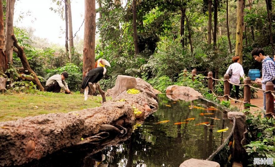 为什么不来《欢乐动物园3D》养珍稀动物，建梦幻乐园？