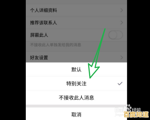 全面揭秘QQ轻聊版的独特优势及实用操作技巧，专业指南