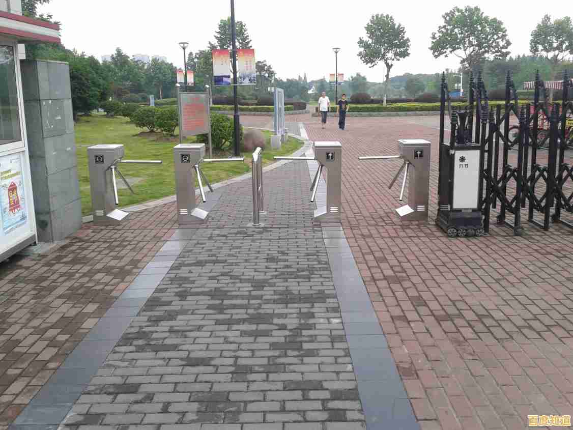 Win11系统兼容性问题致校园网登录失败,学生用户访问受阻 Win11系统兼容性问题致校园网登录失败,学生用户访问受阻