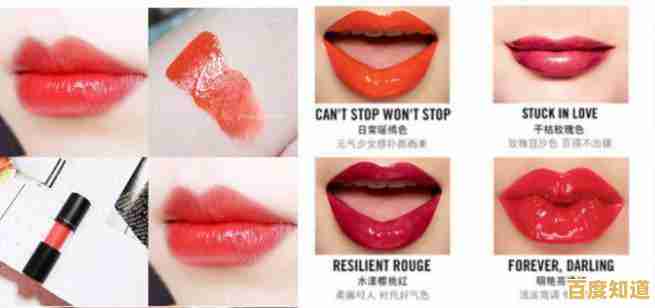 手把手教你获取小红书mac版:从下载到使用的完整教程 手把手教你获取小红书mac版:从下载到使用的完整教程