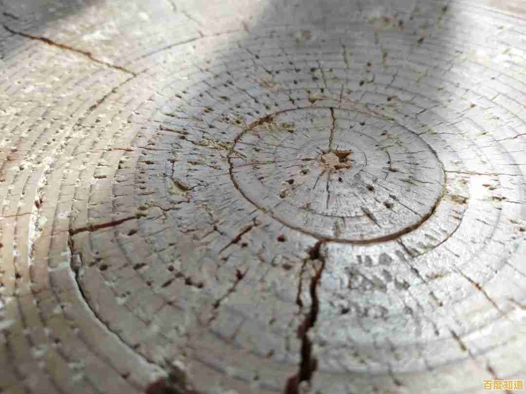 《年轮》这款穿越时空的外卖员冒险,你准备好揭开古树的秘密了吗? 《年轮》这款穿越时空的外卖员冒险,你准备好揭开古树的秘密了吗?